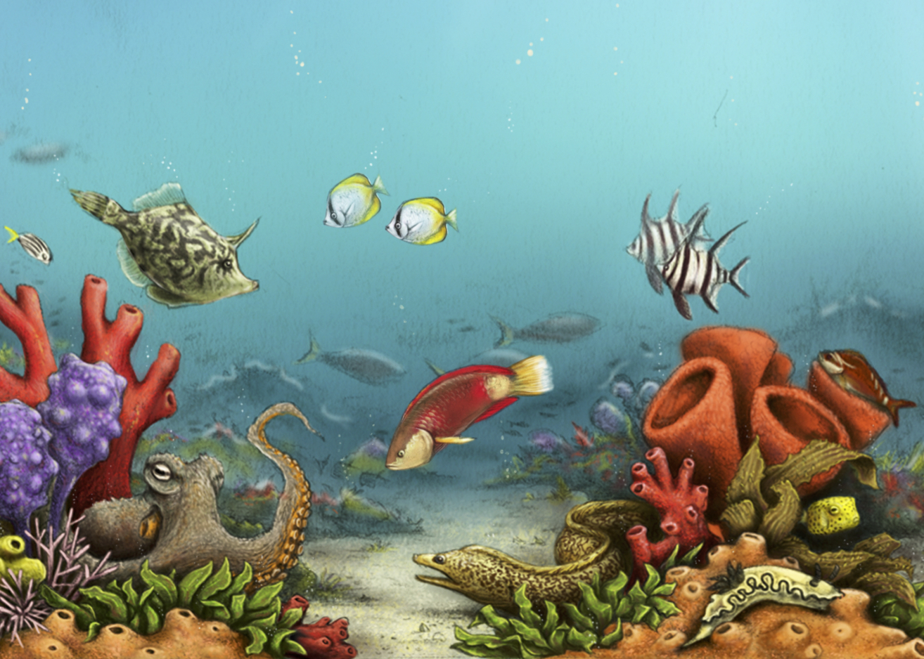 ZoeLawrence_OceanDesign_Crop.jpg