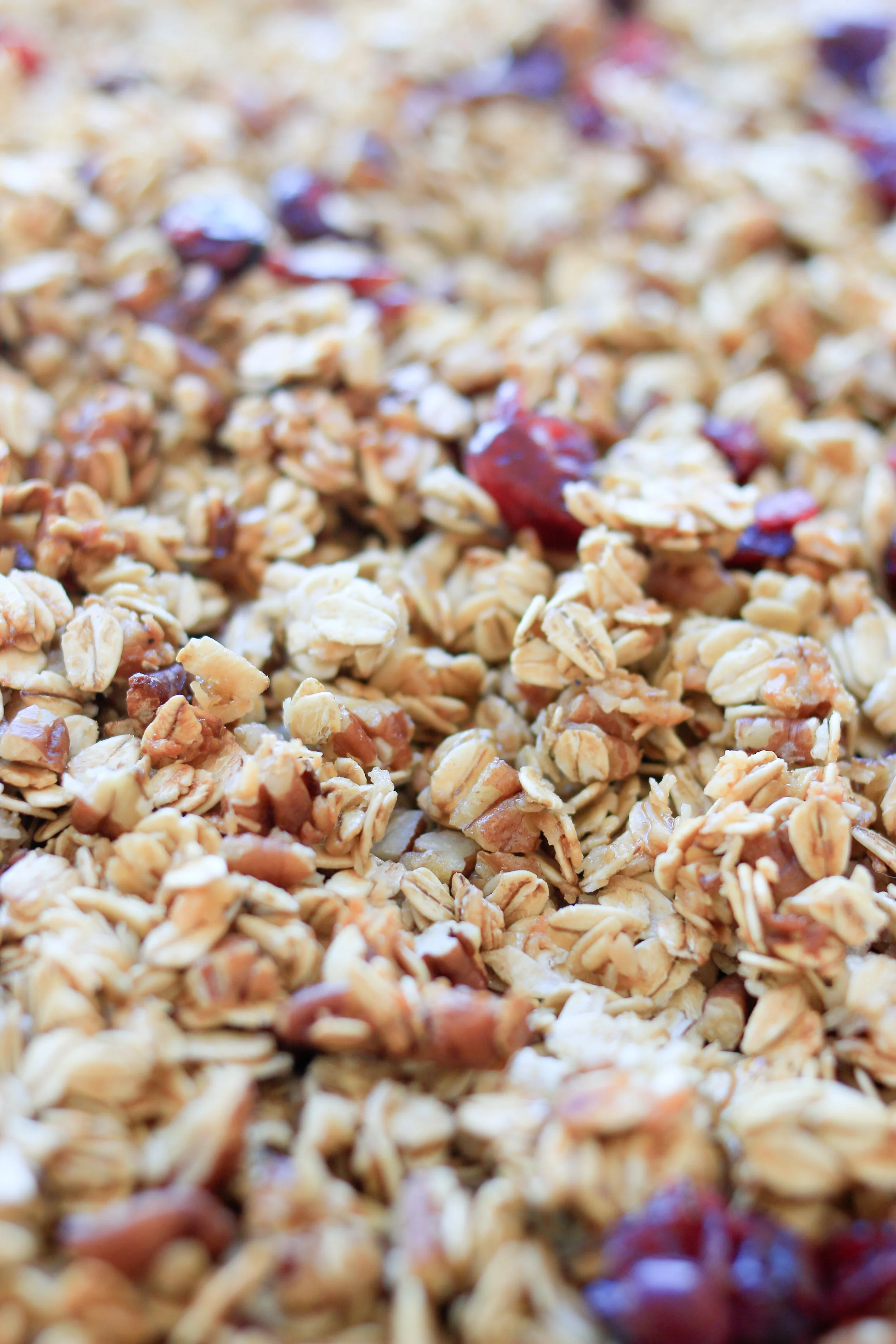 Recipes Homemade Yogurt and Granola — Every Day Parisian
