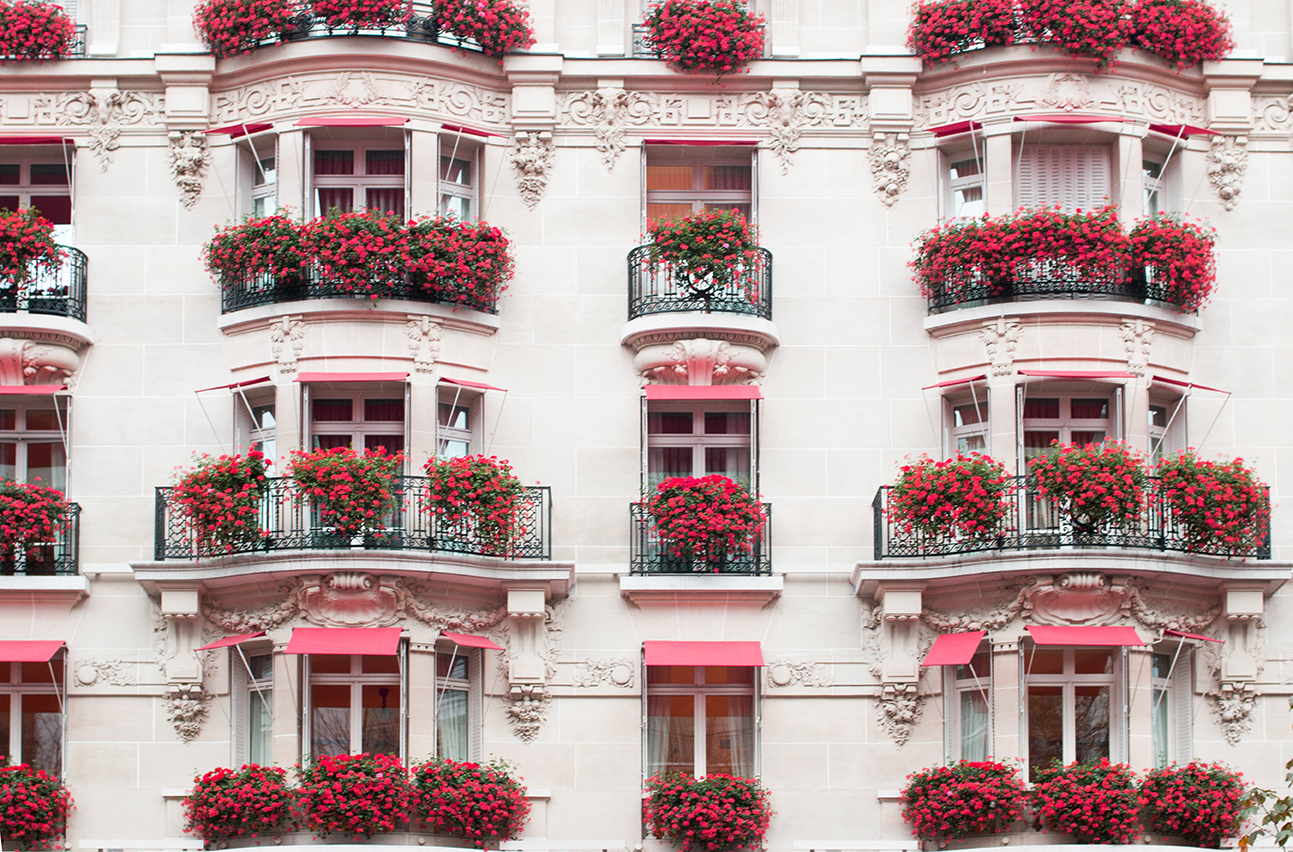 Paris Favorites — Every Day Parisian