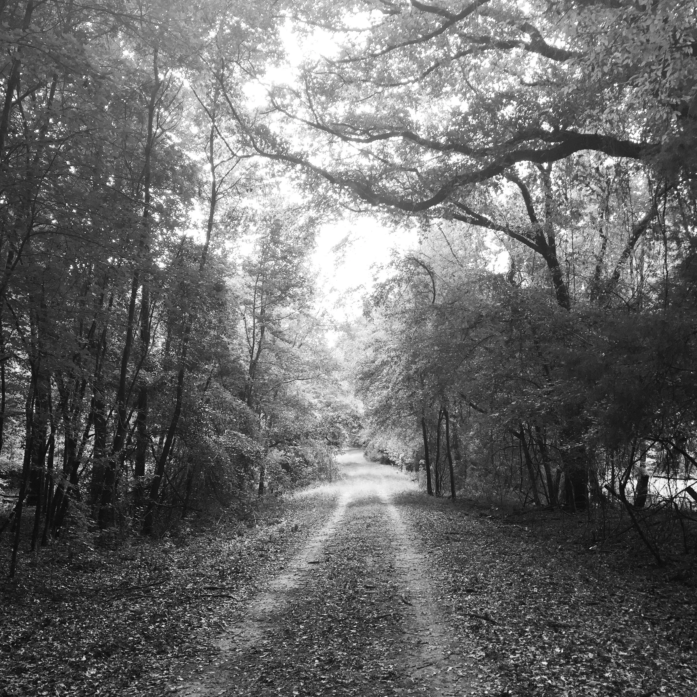 CADE'S COVE CAMPGROUND IN CHANDLER, TX (PHOTO BY VANESSA PRICE) MY CADE LEGACY IN EAST TEXAS… My parents were born and raised in Tyler (Charles Price) and Chandler (Juanita Cade Price) and moved to Houston after they married in 1963. Professionally, my mother was a Home Economics teacher with a Masters in Psychology and my father worked at NASA as a rocket scientist for 37 years. I definitely picked up a few things from them! I was blessed to have the best of both worlds, big artsy city and charming small town life. They returned to Chandler around 2002 to care for my grandparents and eventually to retire, as there is no other place like it. I've spent holidays, summers, and free time in these woods all my life. And now I call this home. Everyone is family here. (As in literally you are related to most people!) CADE REPUBLIC is named for my mother’s family and the loving community here I’ve been in awe of since I was little. Good hearted people, purposeful living and warm homes. I am granddaughter to William Jackson Cade and Rose Oglesby Cade of Chandler, TX, great granddaughter to John W. Cade and Alice Rice, and great, great granddaugther to David Cade and Mary Ingram of Edom, TX.