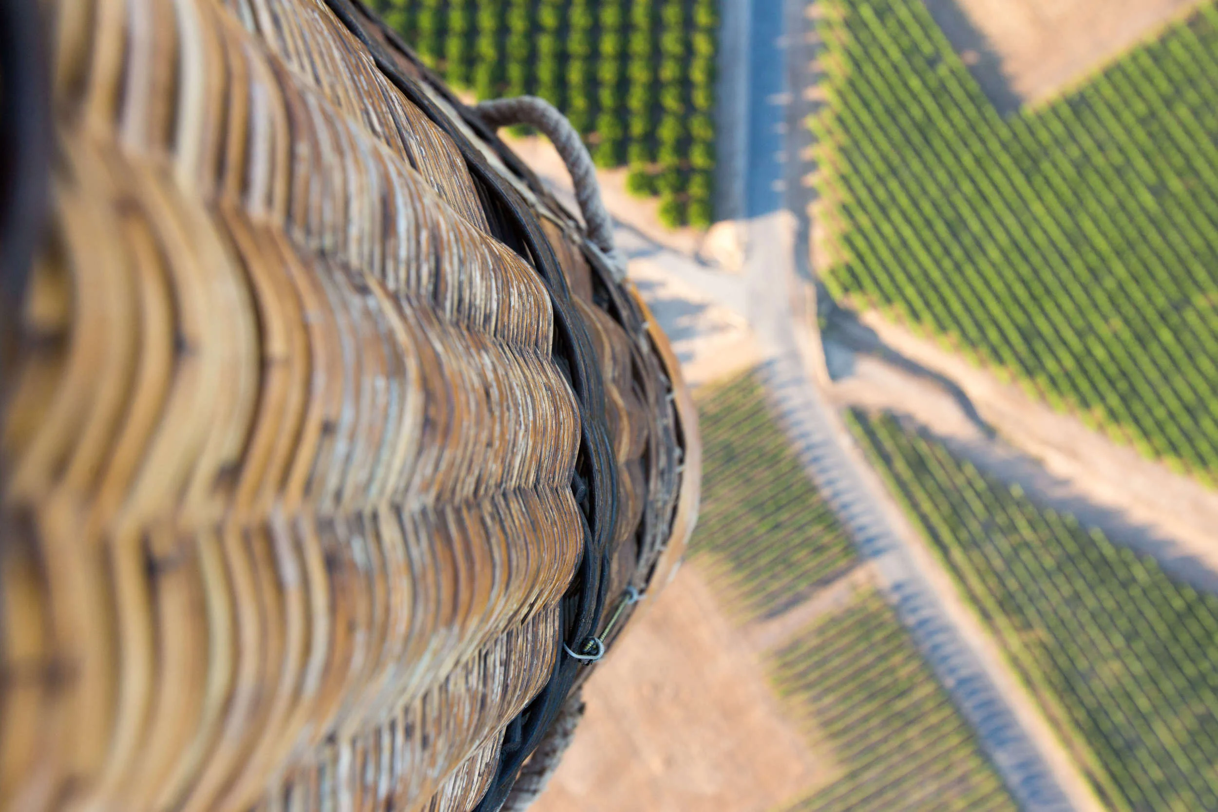 Hot Air Balloon Rides Over Del Mar, CA Compass Balloons