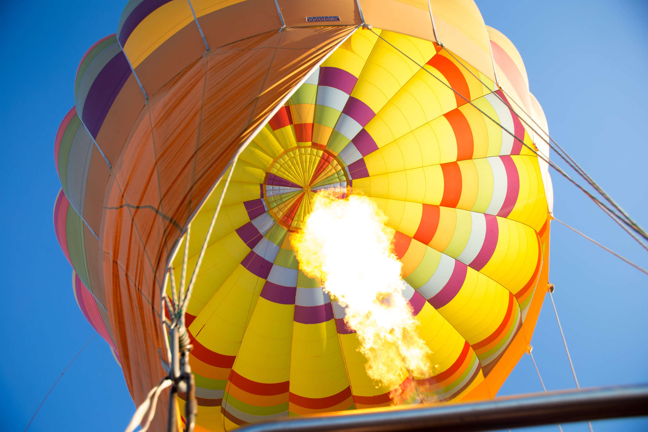 I recommend ballooning to anyone traveling in the area. it is one of those things i had never thought to try, and it's been here in my backyard the whole time.