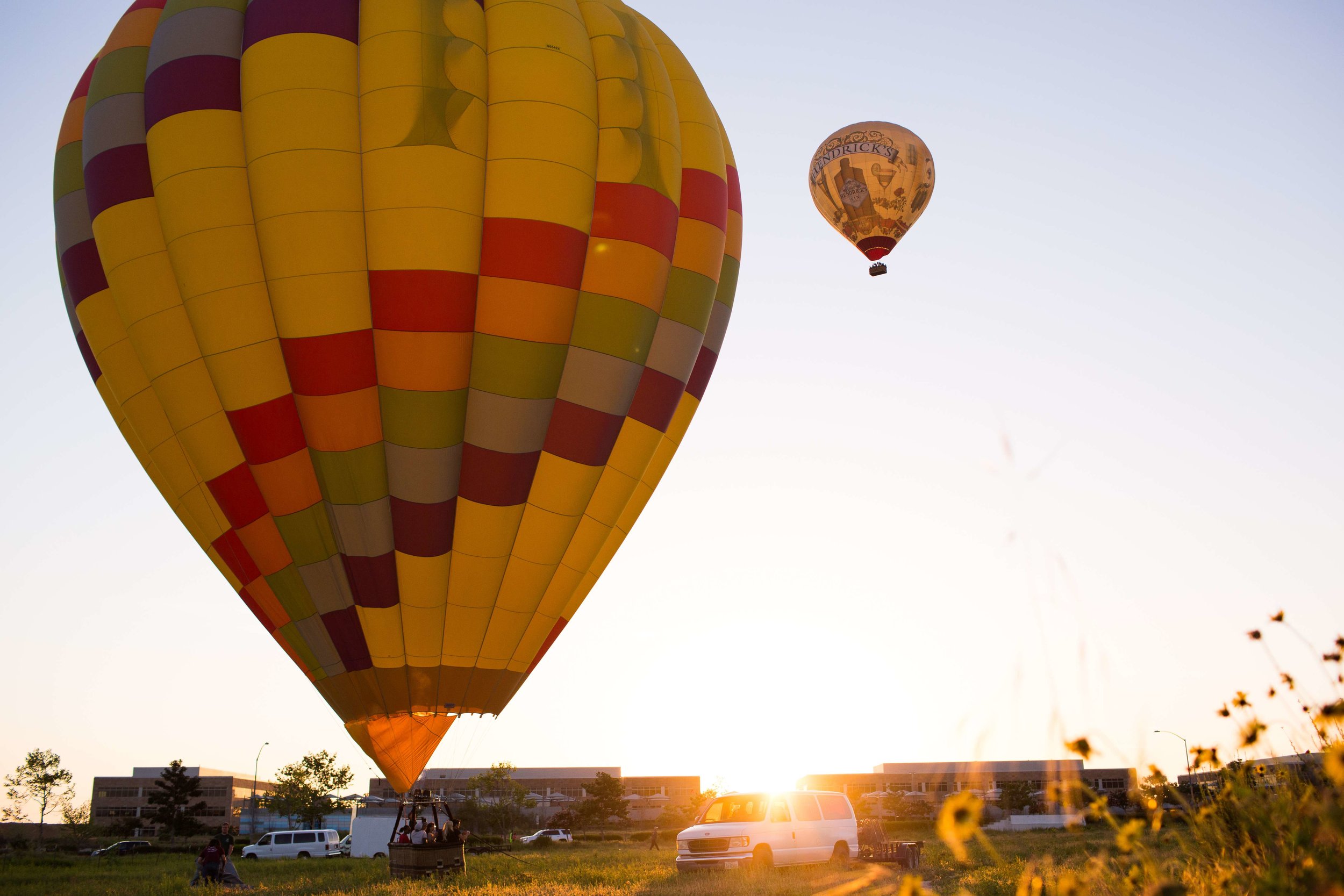 geef de bloem water haag In de naam Hot Air Balloon Rides Over Del Mar, CA | Compass Balloons