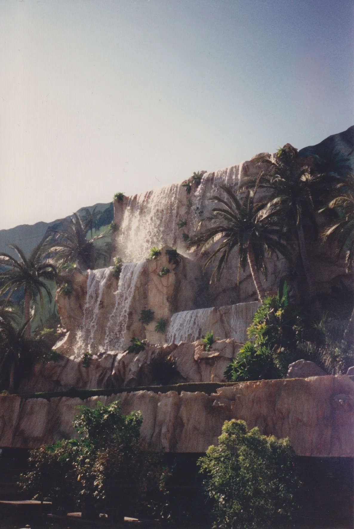Scan 2.jpg