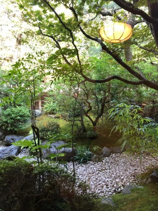 view of the garden from outside our guest room 