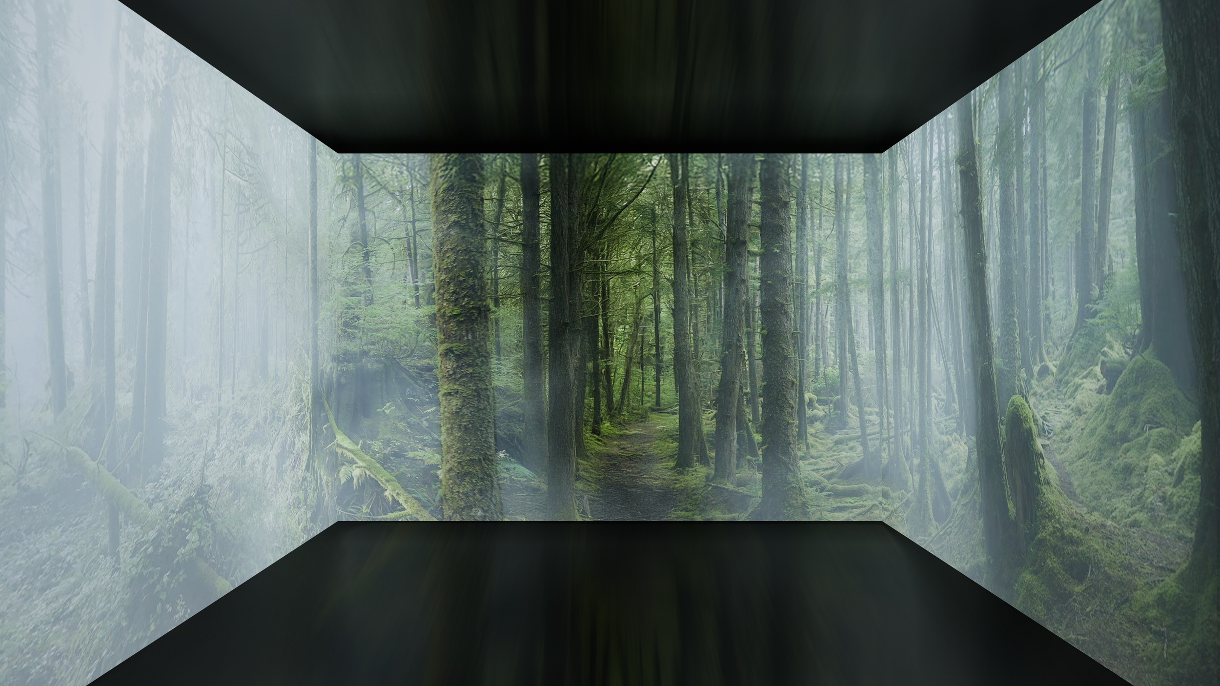 A digital mockup of a forest scene with tall trees, moss-covered ground, and a dirt path, displayed on 3 LED walls inside a cube.
