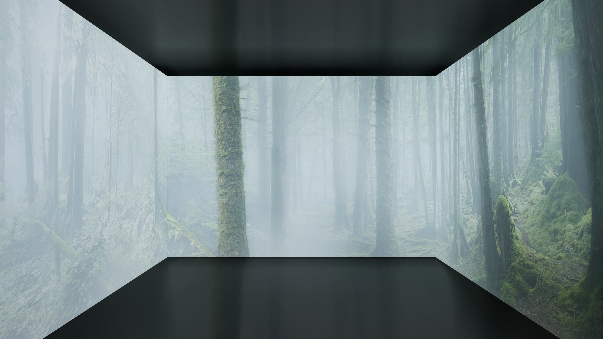 A digital mockup of a foggy forest scene displayed on 3 LED walls inside a cube.