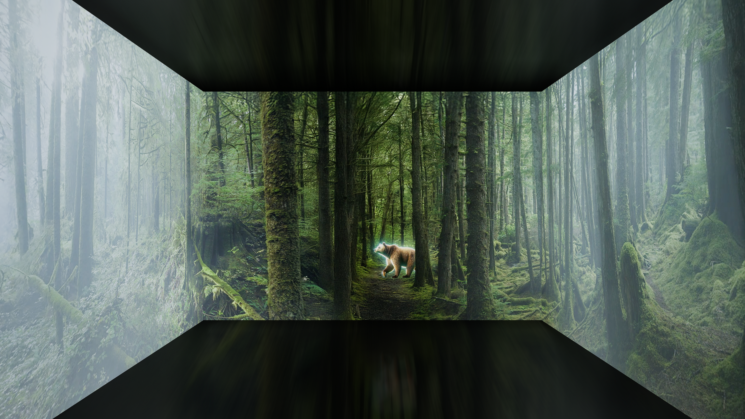 A digital mockup of a forest scene, displayed on 3 LED walls inside a cube. There are tall trees covered in moss and a pathway through the woods. In the distance, a bear is walking along the trail, with light streaming through the trees.