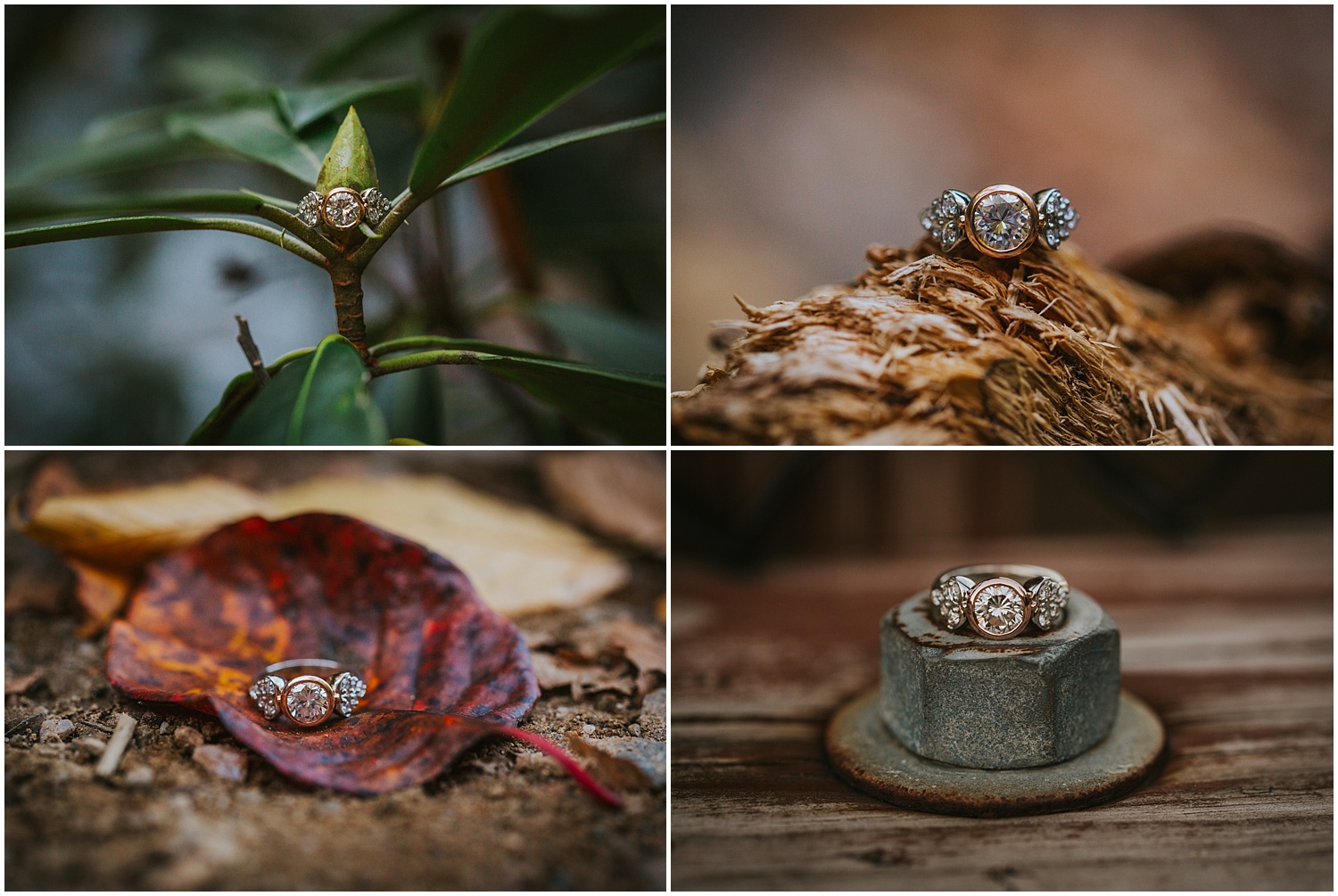 Glen Onoko Falls Jim Thorpe Engagement Photographer