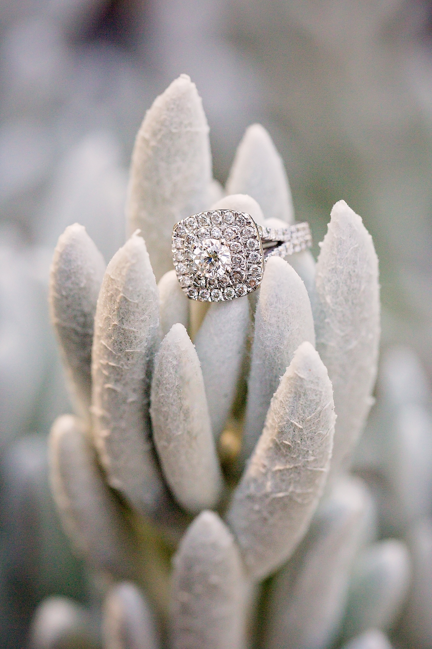 Longwood Gardens engagement photoshoot