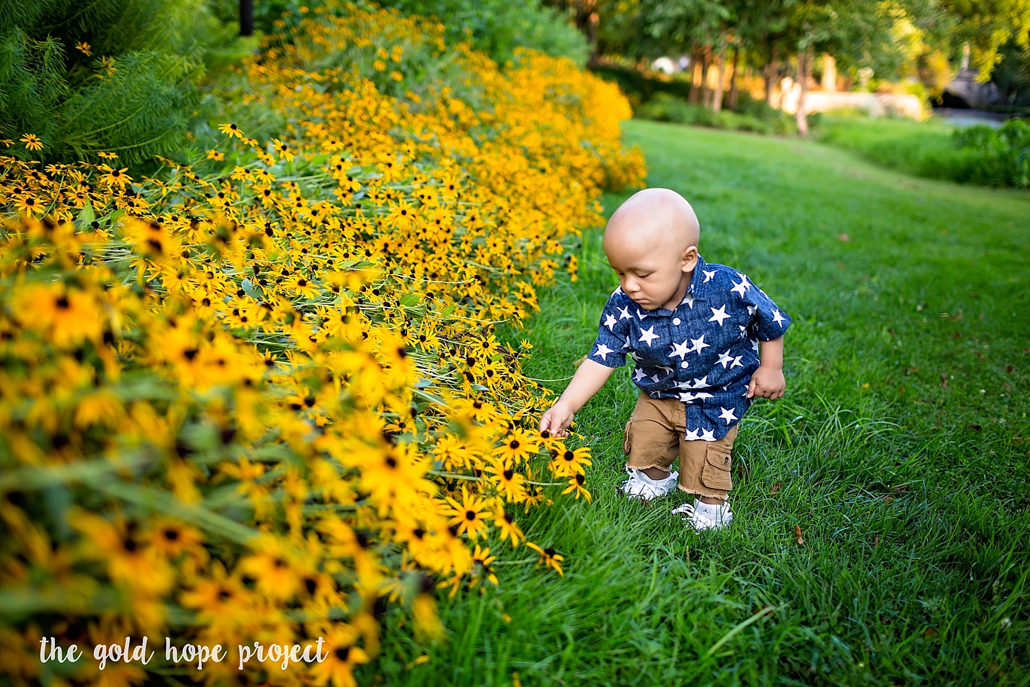 The Gold Hope Project Reading Pennsylvania Pediatric Cancer Fighter Photography Session