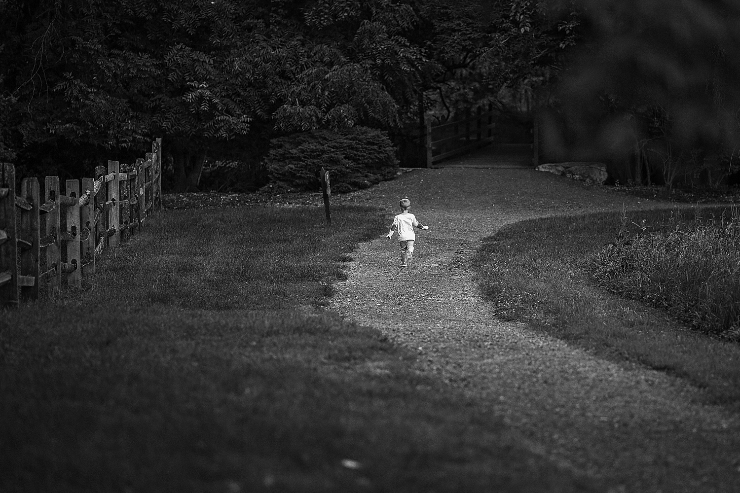 Wyomissing Park Pennsylvania Family Photographer