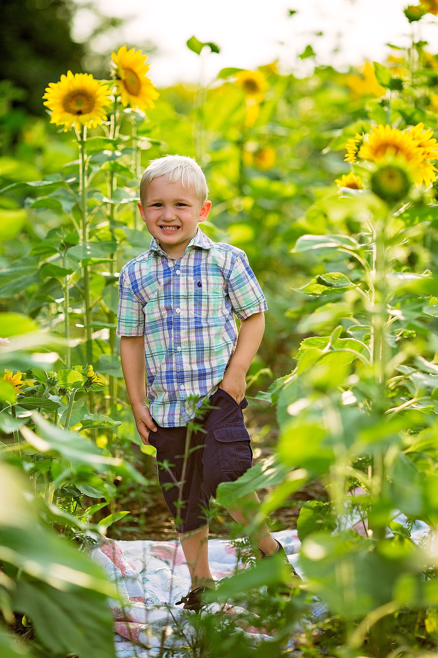 Berks County Pennsylvania Blue Marsh Lake Sunflower Field Photoshoot Photographer