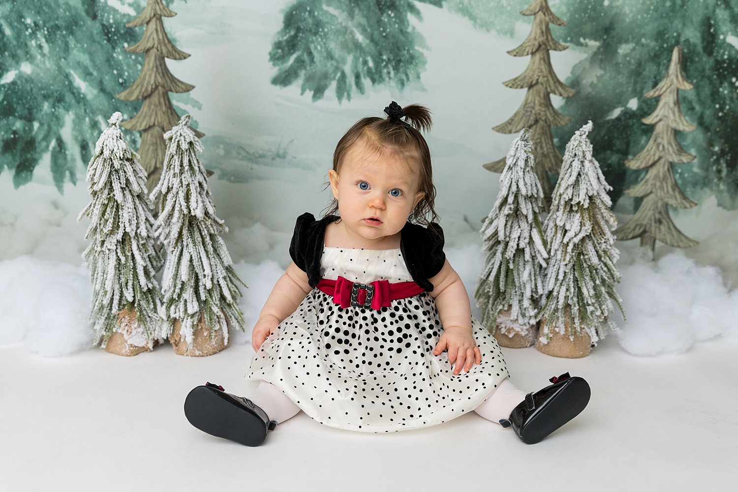 GoggleWorks Studio Reading Pennsylvania Child Family Baby Infant Christmas Photographer