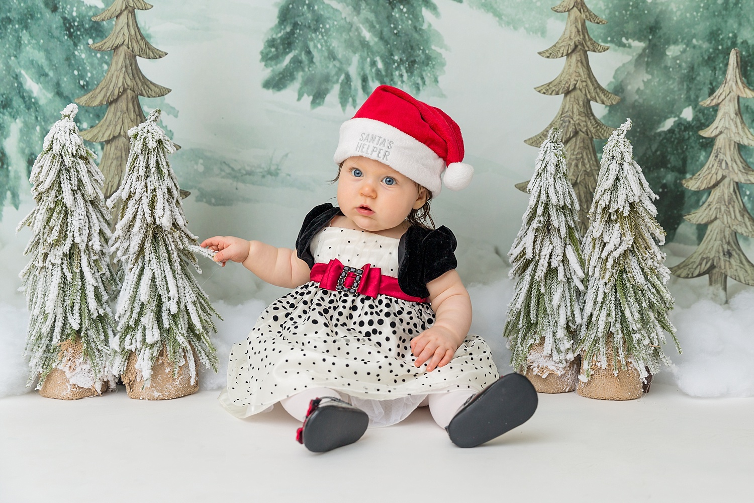 GoggleWorks Studio Reading Pennsylvania Child Family Baby Infant Christmas Photographer