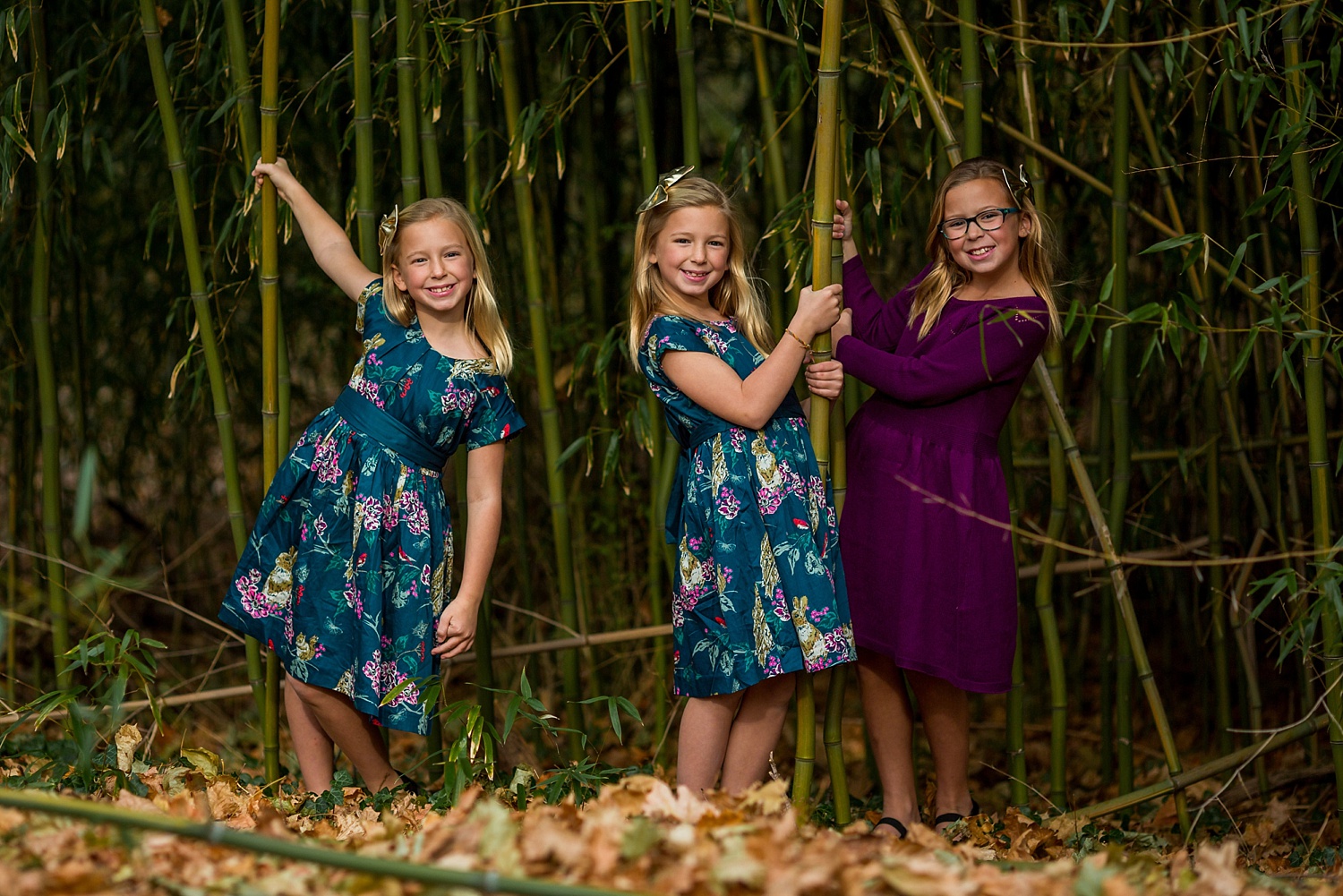 Historic Shady Lane Central Pennsylvania family photographer