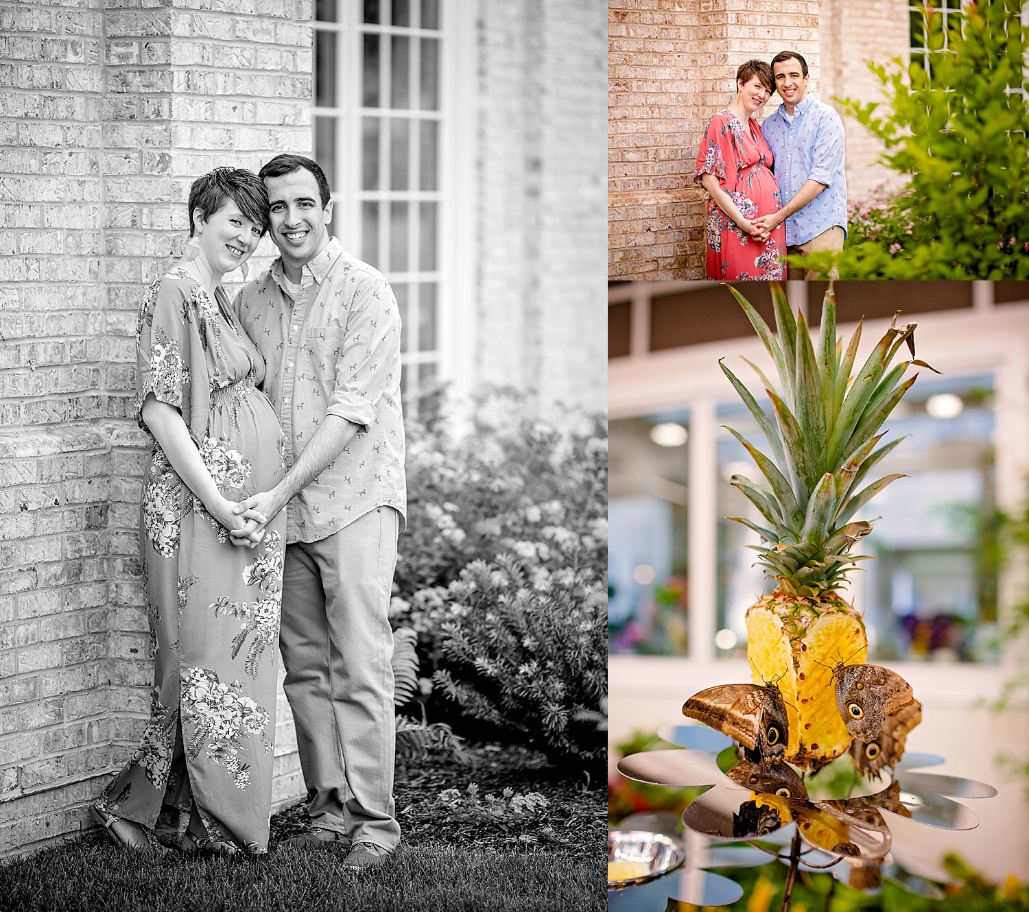 Hershey Gardens Central Pennsylvania Harrisburg engagement maternity wedding photographer