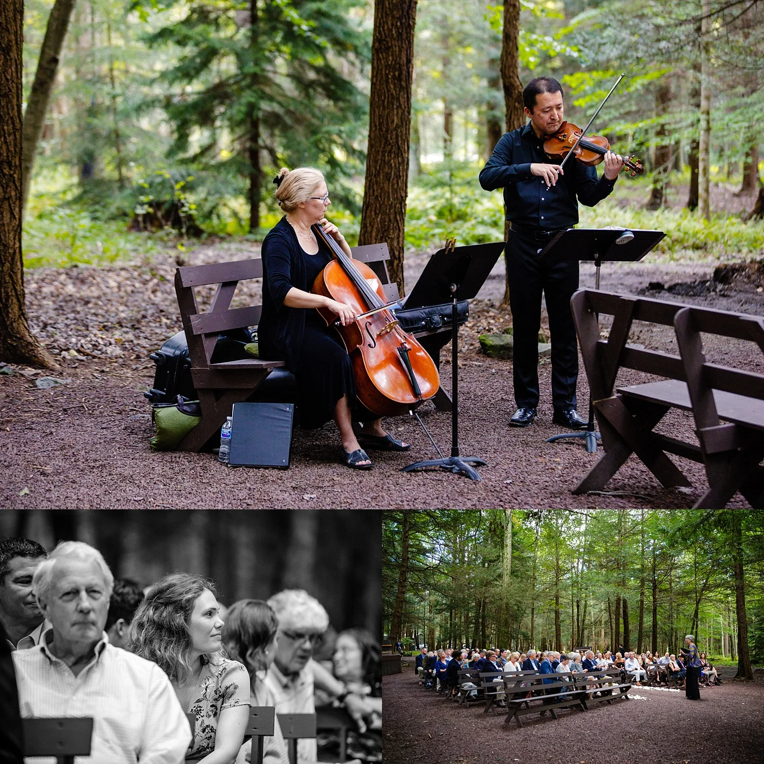 Pocono Lake Preserve rustic summer wedding Poconos photographer