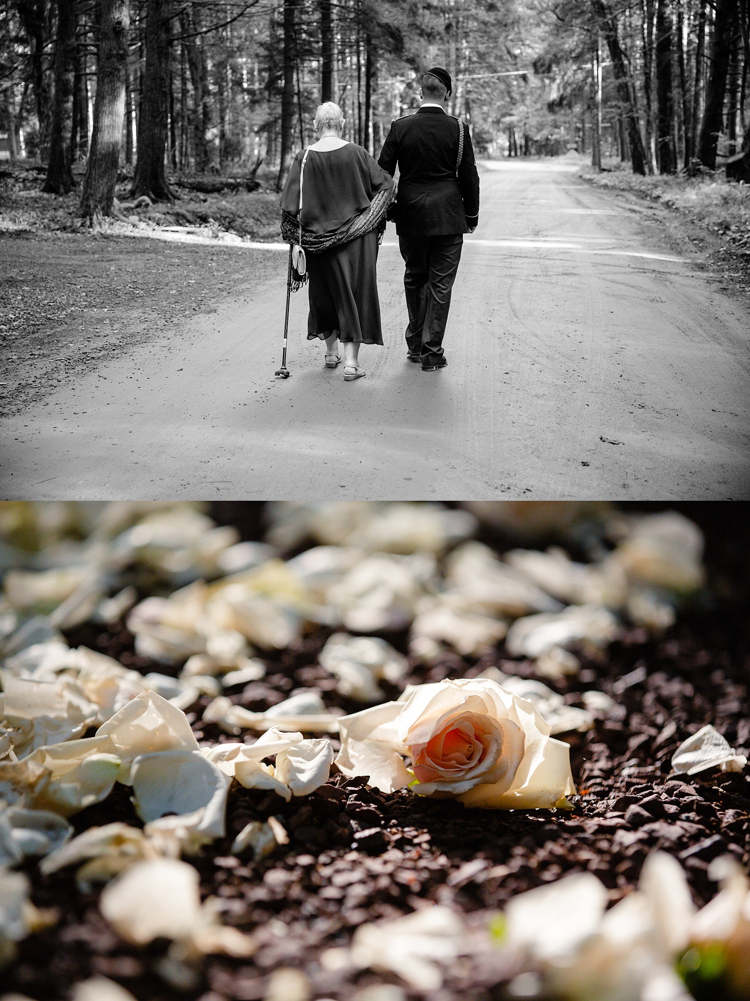 Pocono Lake Preserve rustic summer wedding Poconos photographer