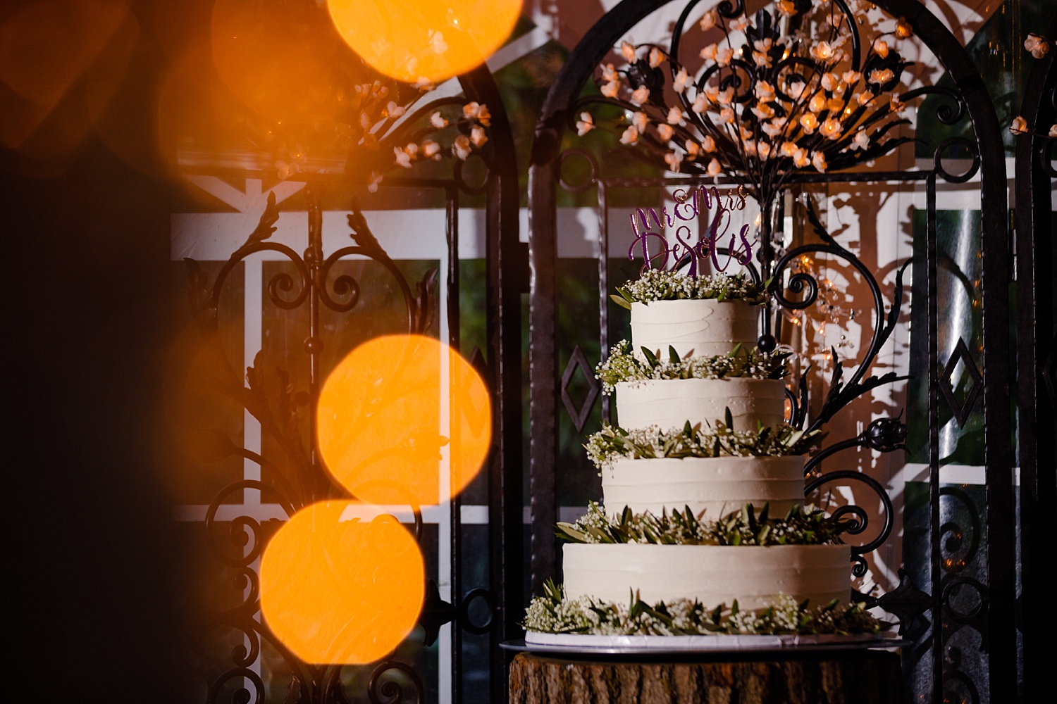 Chester Wedding Photographer Pennsylvania Meredith Manor autumn reception