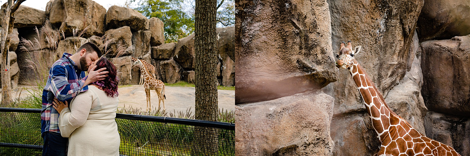 Philadelphia Zoo Engagement Portrait Session Philly Pennsylvania Wedding Photographer