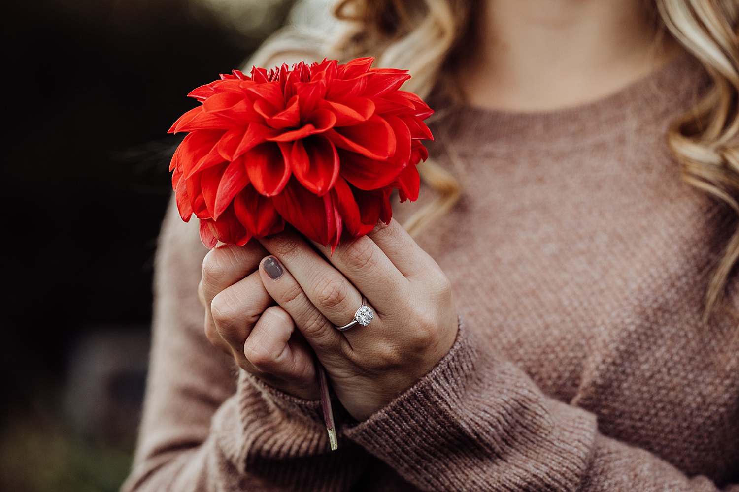 Lehigh Valley Pennsylvania engagement session portrait wedding photographer fall farm