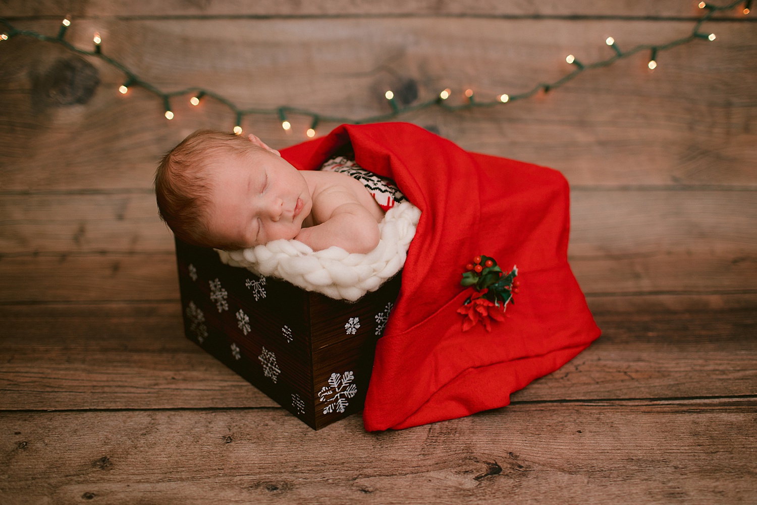 Berks County Pennsylvania studio newborn portrait session photographer GoggleWorks Christmas