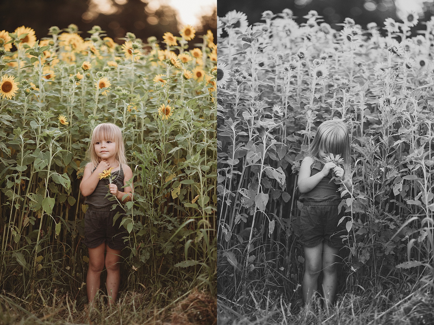 sunflower field Mechanicsburg Harrisburg family children photographer