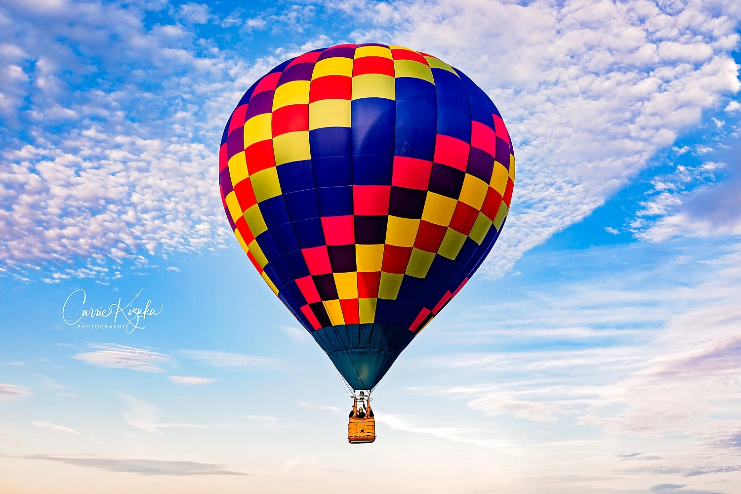 Lancaster Hot Air Balloon Festival BirdinHand, Lancaster County Pennsylvania Portrait