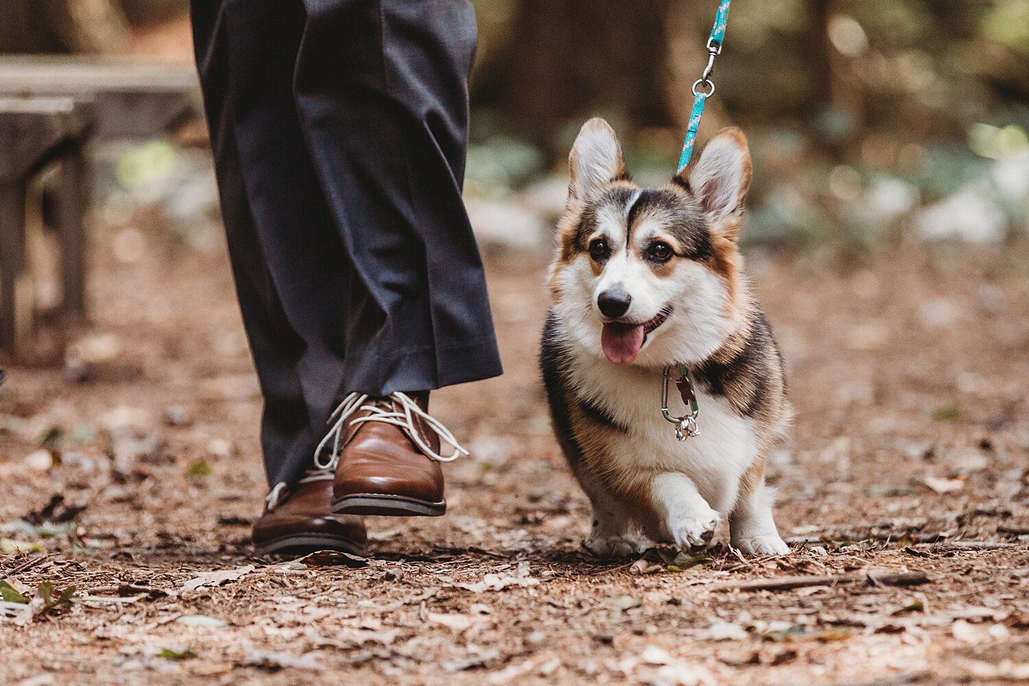 Camp Nawakwa Lutheran Biglerville Adams County Pennsylvania outdoor summer wedding photographer