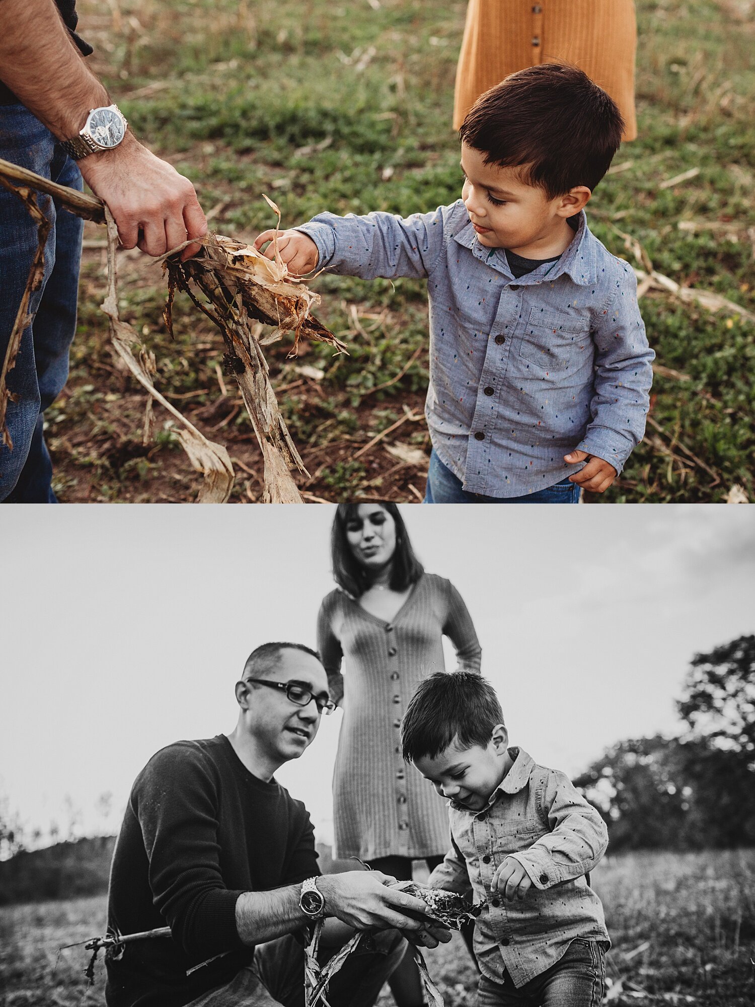 Blue Marsh Lake fall family portrait session Berks County Pennsylvania photographer