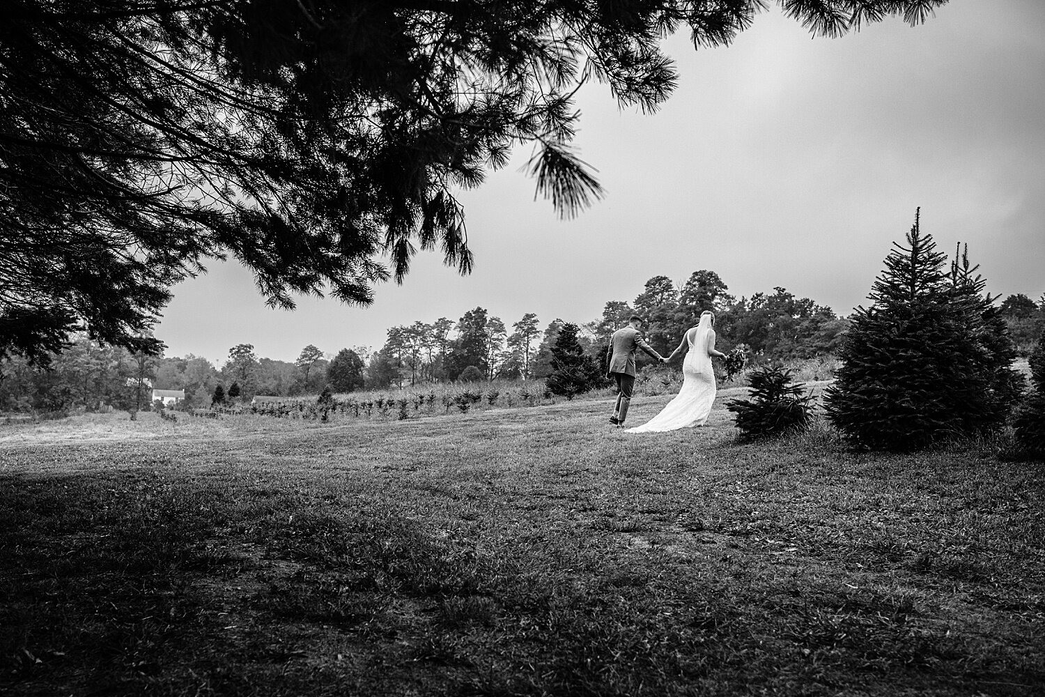 Reinhart's Christmas Tree Farm Barn Wedding Fall Berks County Pennsylvania Wedding Photographer