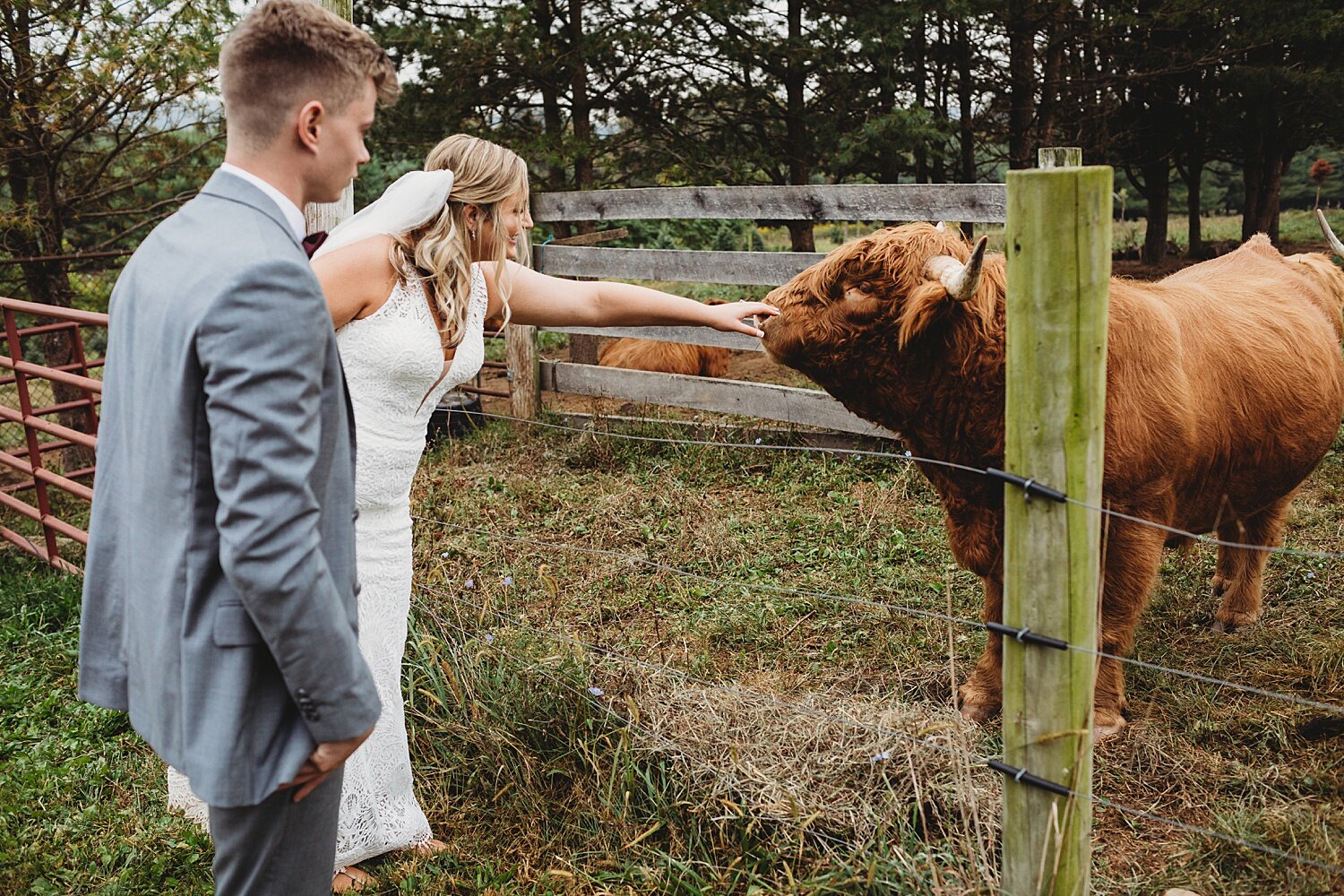 Reinhart's Christmas Tree Farm Barn Wedding Fall Berks County Pennsylvania Wedding Photographer