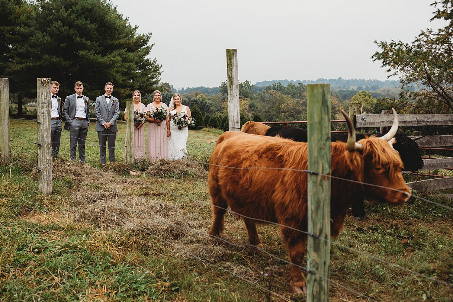 Reinhart's Christmas Tree Farm Barn Wedding Fall Berks County Pennsylvania Wedding Photographer