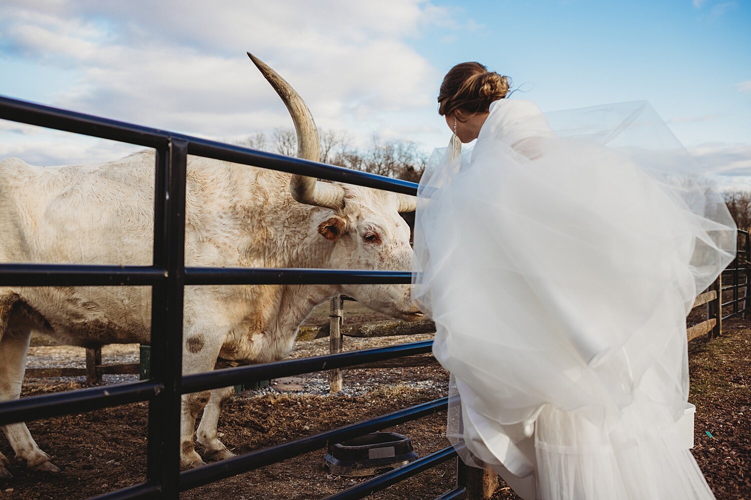 Ironstone Ranch intimate vow exchange styled wedding shoot Lancaster Pennsylvania photographer