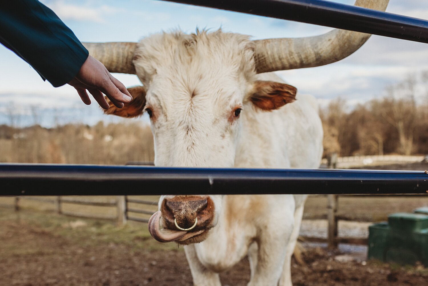 Ironstone Ranch intimate vow exchange styled wedding shoot Lancaster Pennsylvania photographer