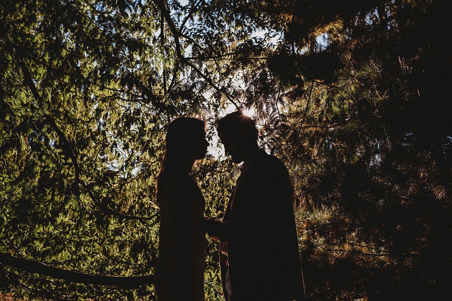 Longwood Gardens elopement Pennsylvania intimate wedding photographer