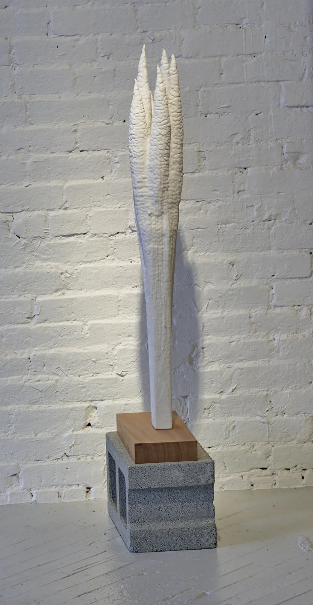Doug Weathersby , 2018, Preacher Bar , wood, latex paint photo: Stewart Clements