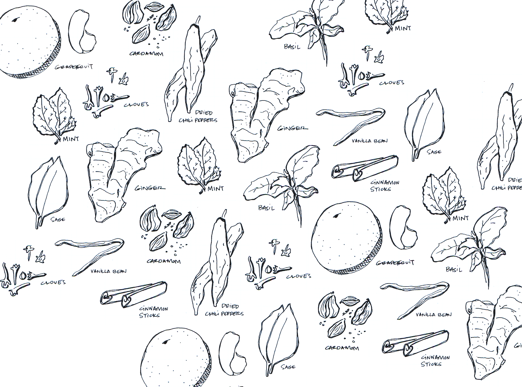 TGBE-sketches-spices.png