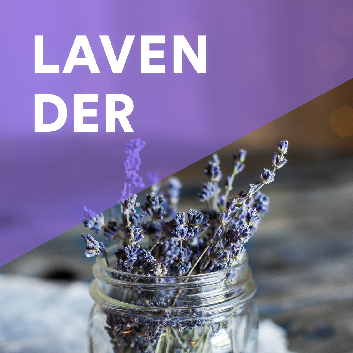 lavender photo.png