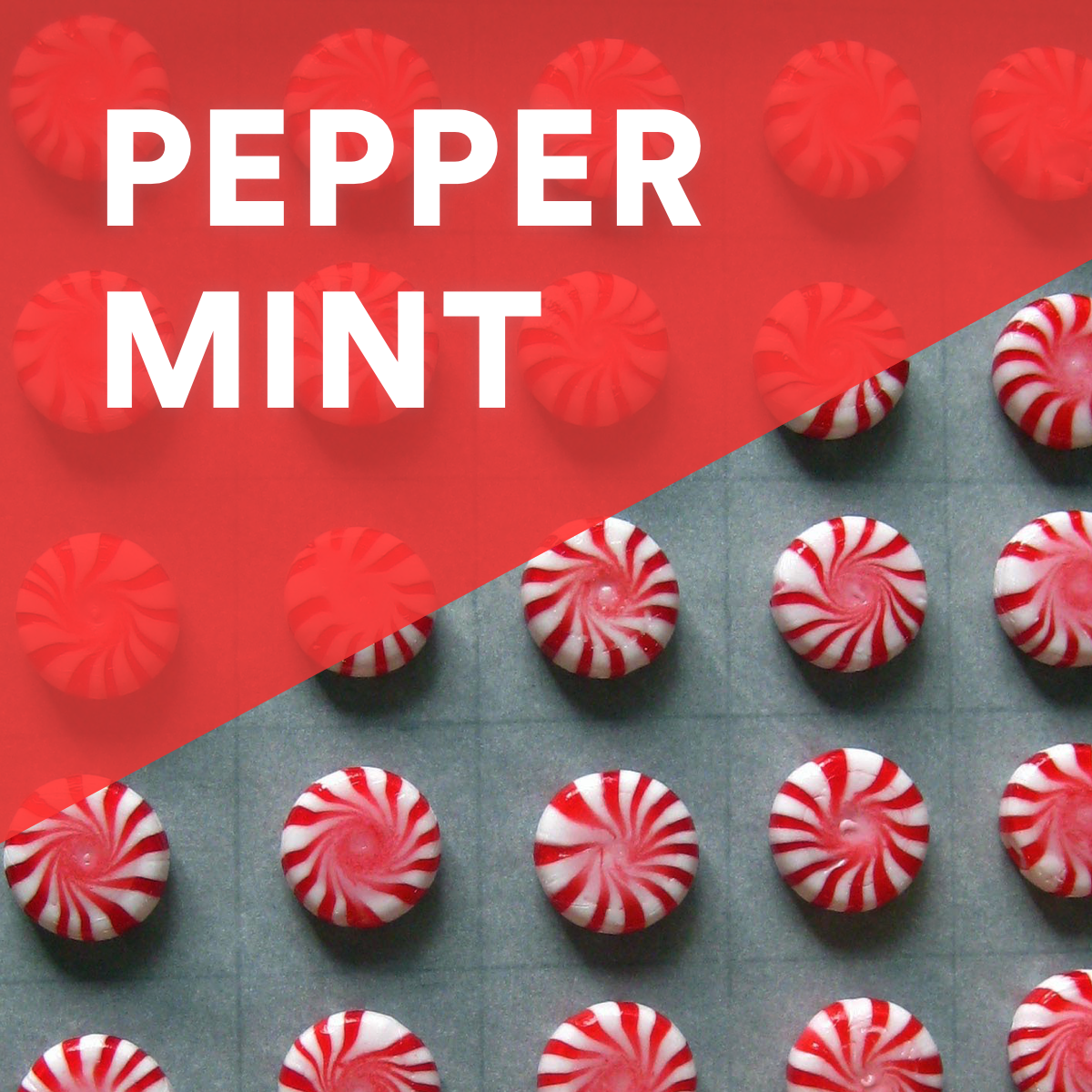 peppermint photo.png