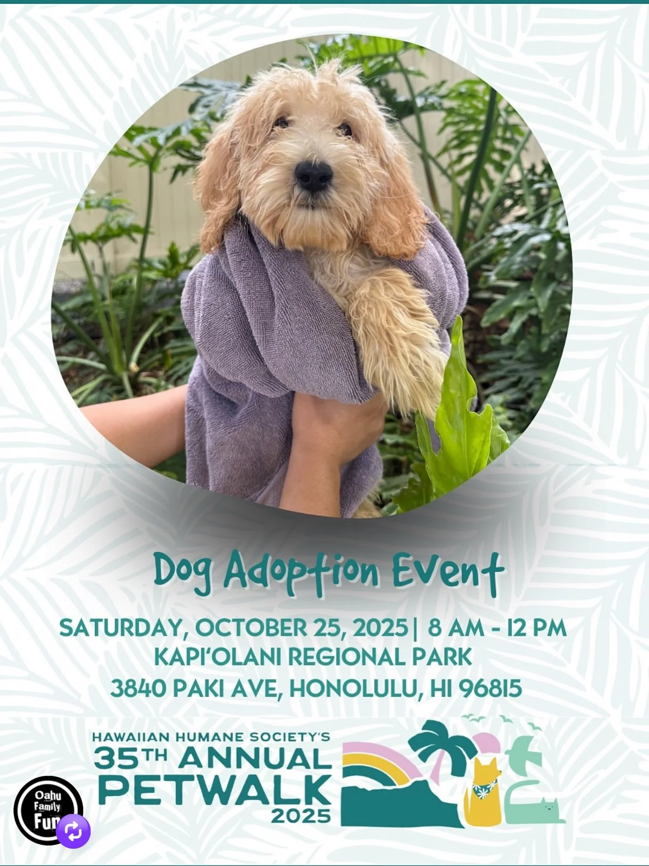 **FREE Face Painting** + MORE!!
Saturday 10-25-25
8am-12pm
Hawaiian Human Society Pet Walk 🐶 🐱 🎃
Kapiolani Park
Costume Contest + Adopt-a-Pet!! 

5-8pm 
Kapolei Commons 
Family Dance Party Spooky Style 🎃 👻 💀 
Music, Games, Pumpkins, Face Painti
