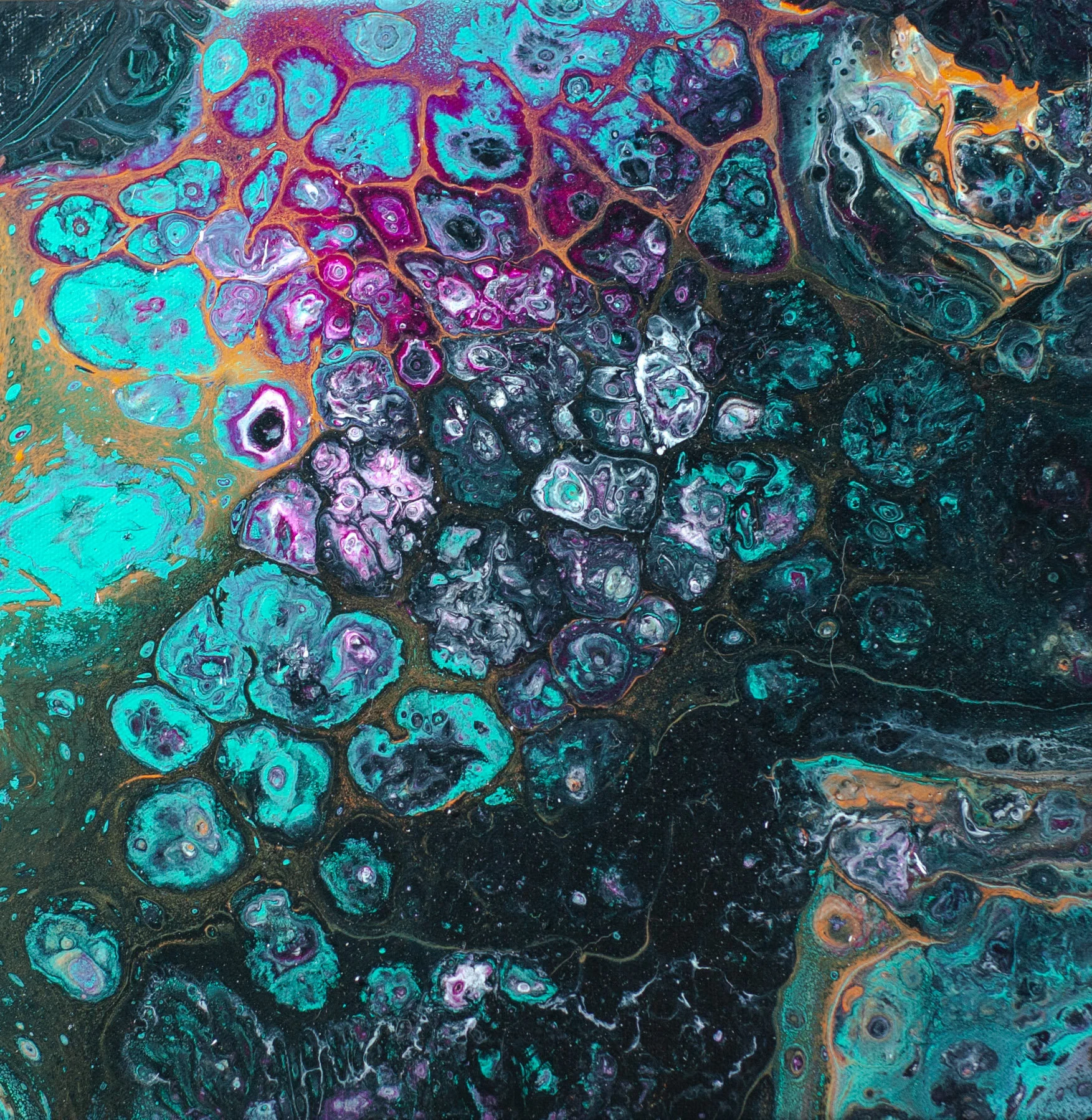 Untitled Export-0007.jpg