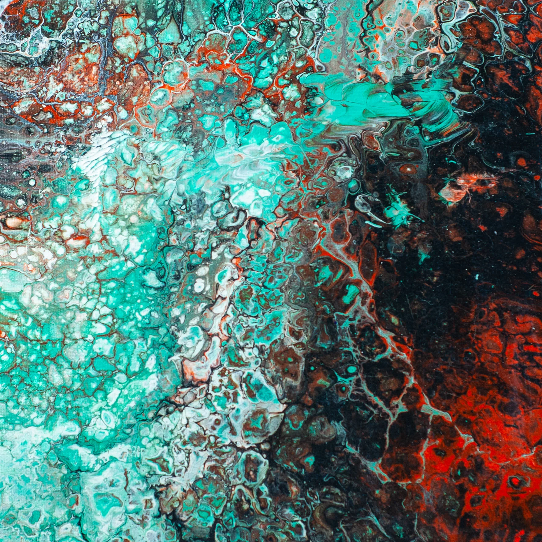 Untitled Export-0010.jpg