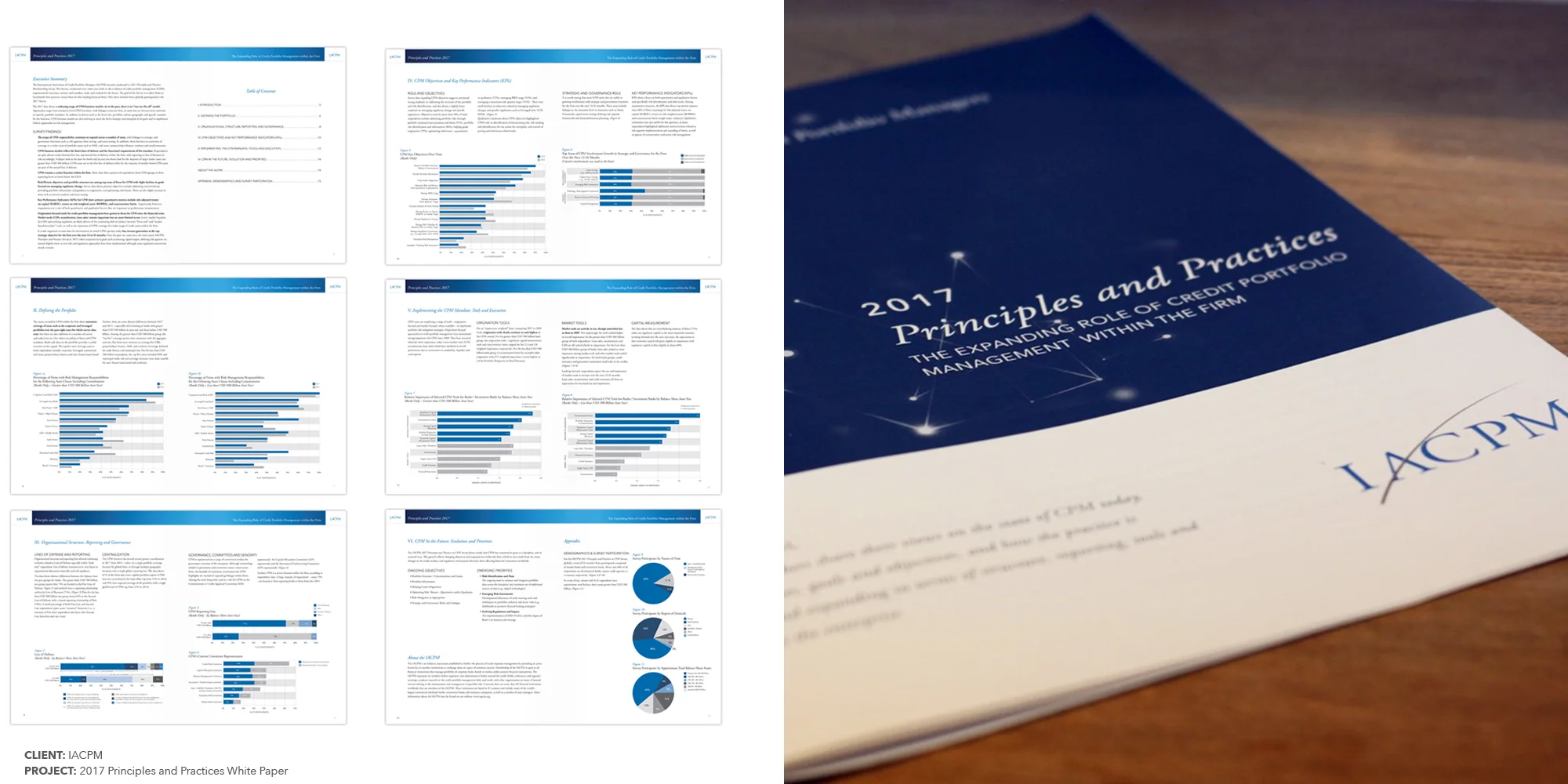2017 Principles & Practices White Paper CLIENT: IACPM