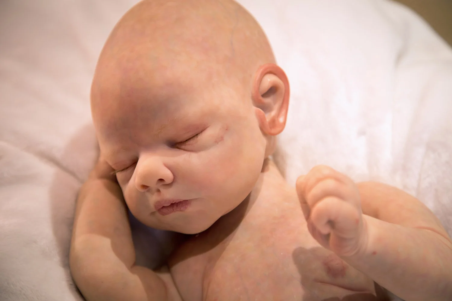 Elly reborn baby