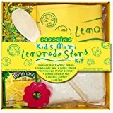 Sassafras Lemonade Stand Kit