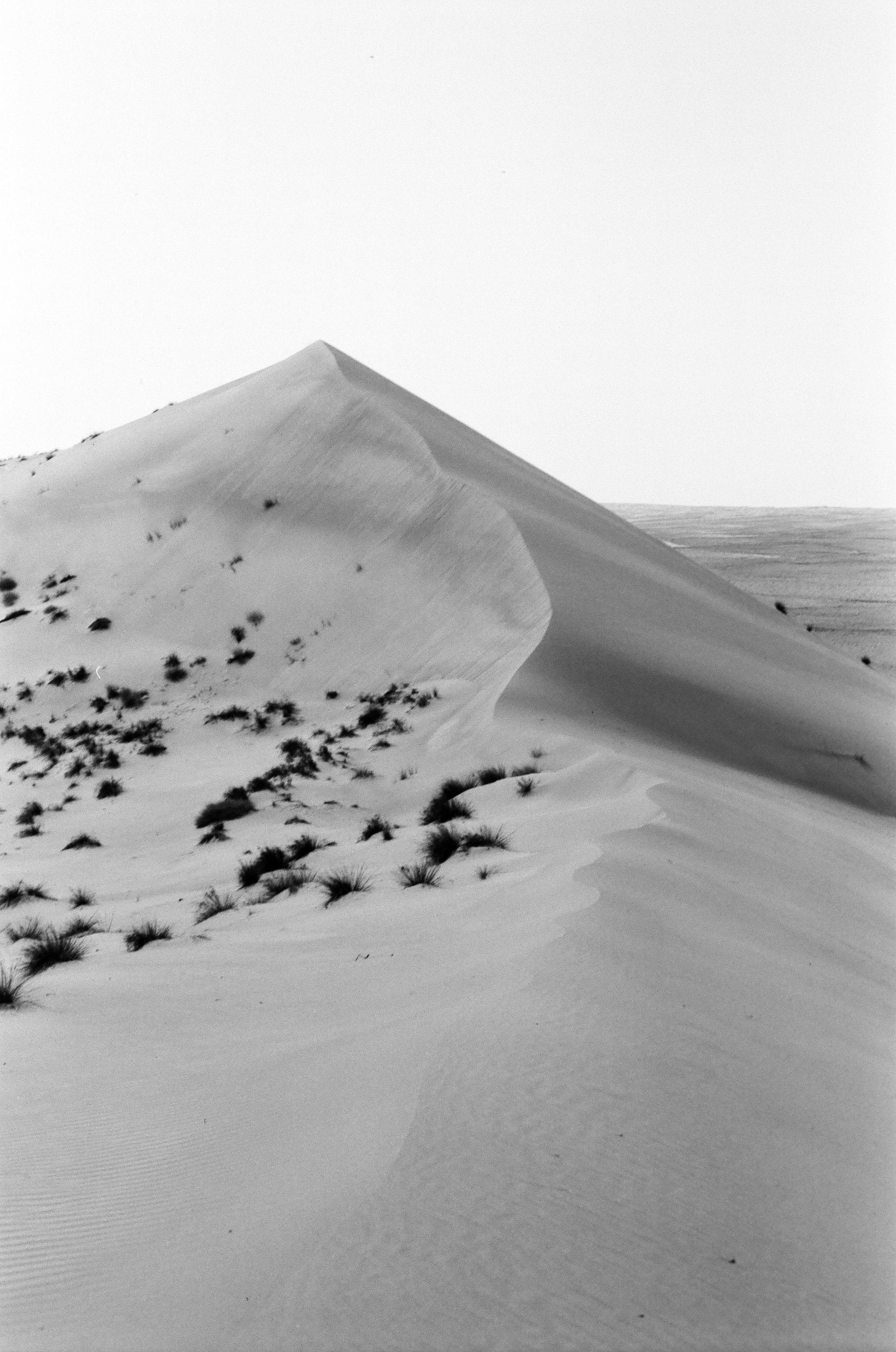  Dune, Wahiba Sands, Oman; Minolta SRT 201 35mm; 2023 