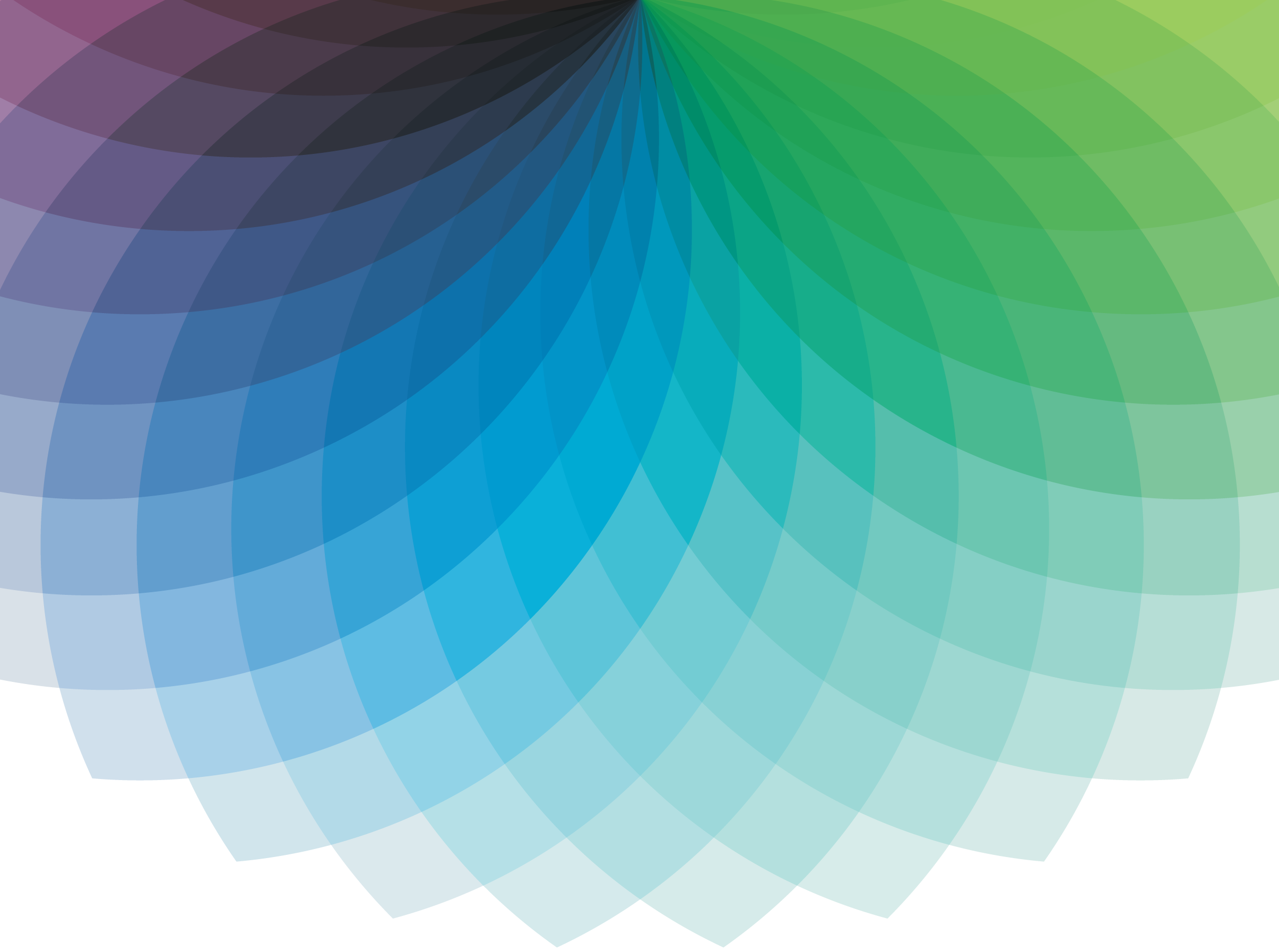 Wheel_2-01.png