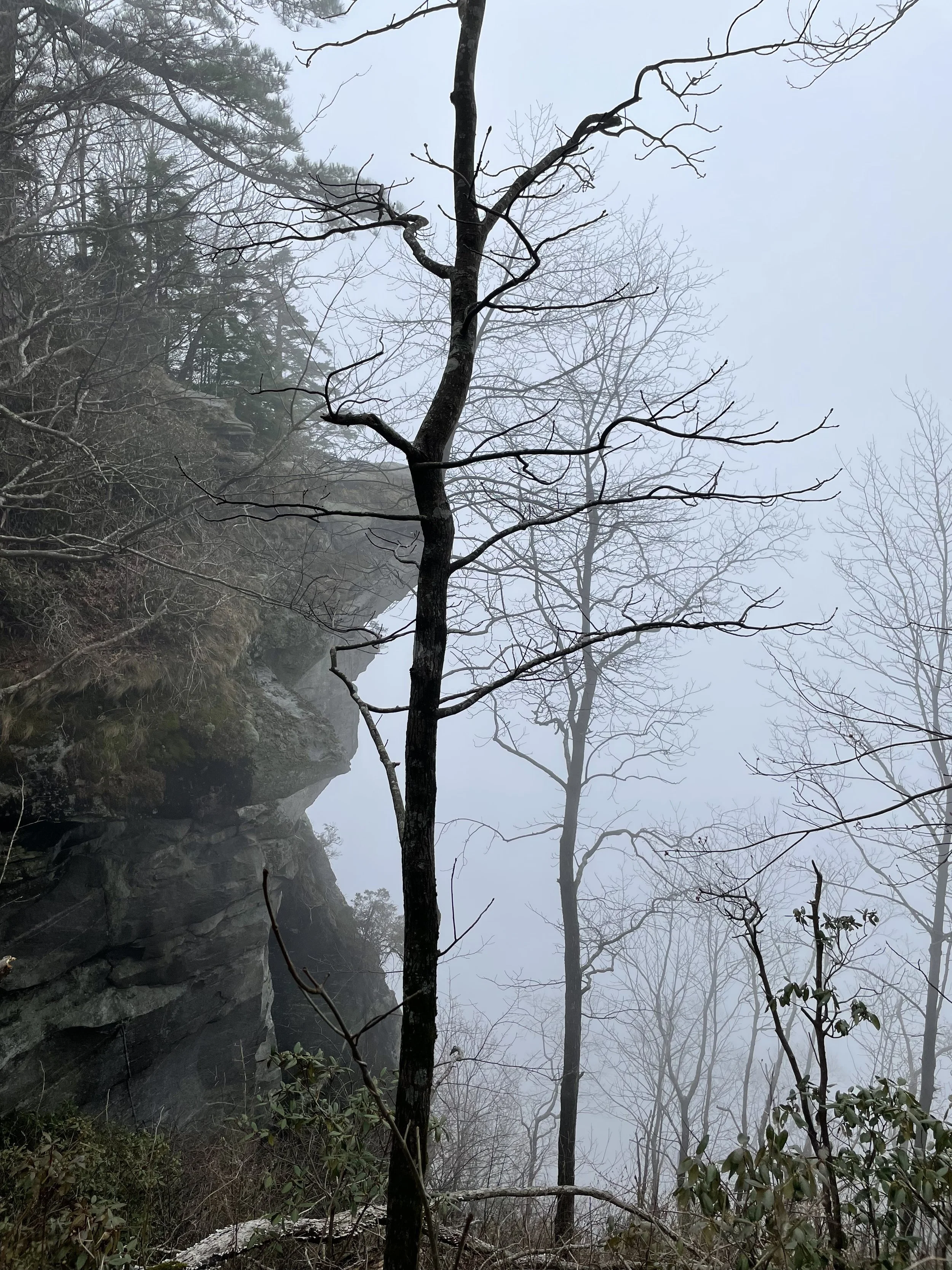 Devils Head Park South Carolina 2026.jpg